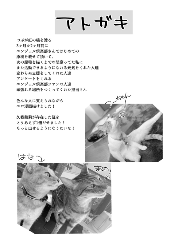 [Kuga Mayuri] Sei Shoudou [Digital]_217