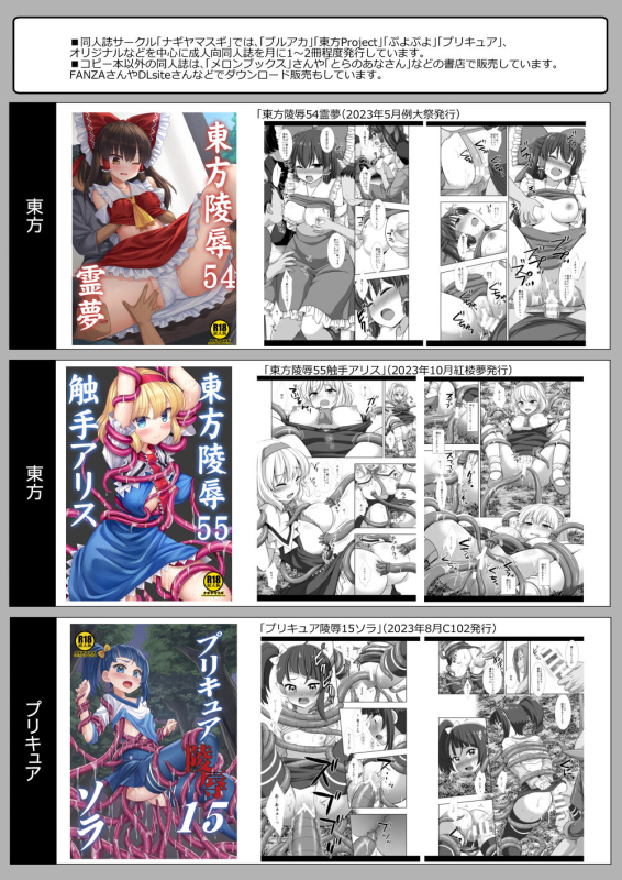 [Nagiyamasugi (Nagiyama)] Hifuu Ryoujoku 9 (Touhou Project) [Colorized] [Chinese]_15