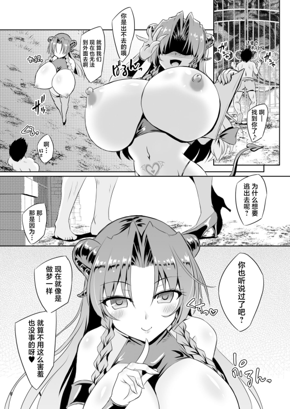 [Reverse Noise (Yamu)] Succubus Koumakan part IV (Touhou Project) [Chinese] [Digital]_05