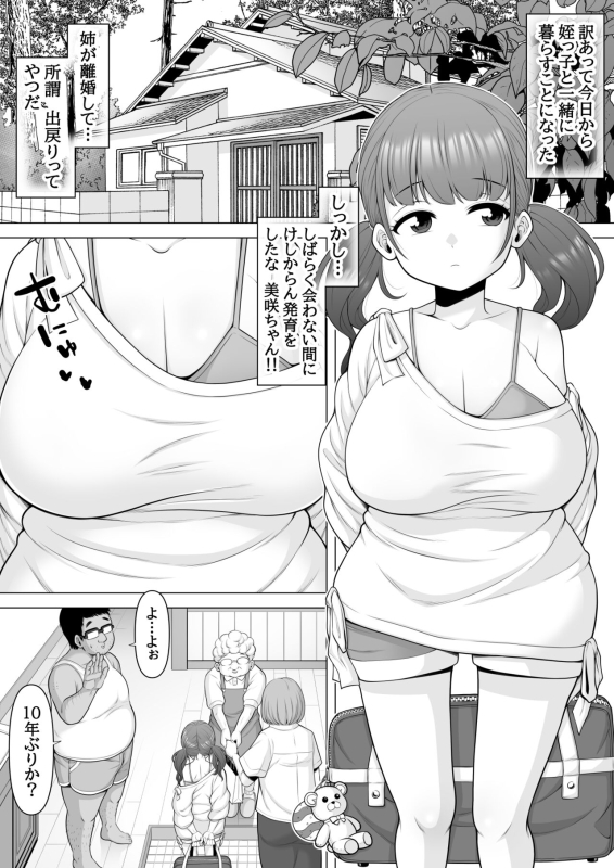 [ぽっとデトックス] 10年ぶりに会った巨乳メスガキ姪っ子が俺をバカにしてきたのでお仕置き睡眠姦レイプしちゃいました-姪っ子を睡眠姦 (処女)_01