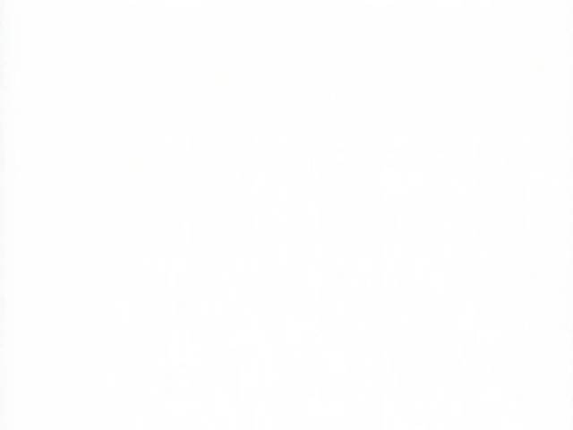 oobari masamisouth pole one746b7fc27b2a4bee66b6717b044a7b33