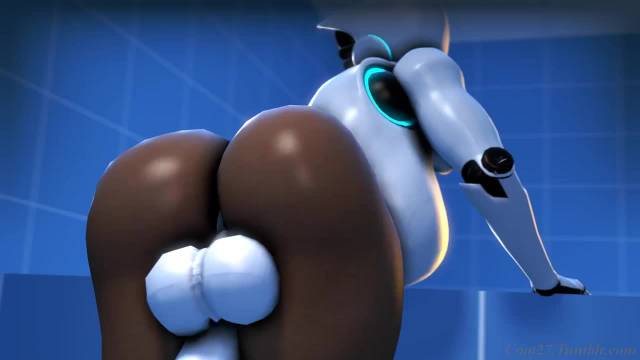 coot27haydeea033a417f3b5946a3dc4d498b6e63776