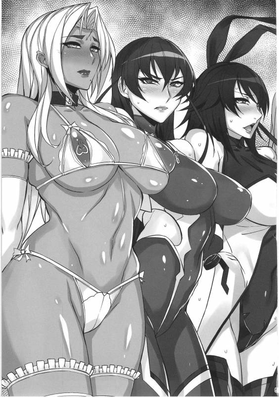 (C88) [Isocurve (Allegro)] Degradation (Makai Kishi Ingrid) (English)_03
