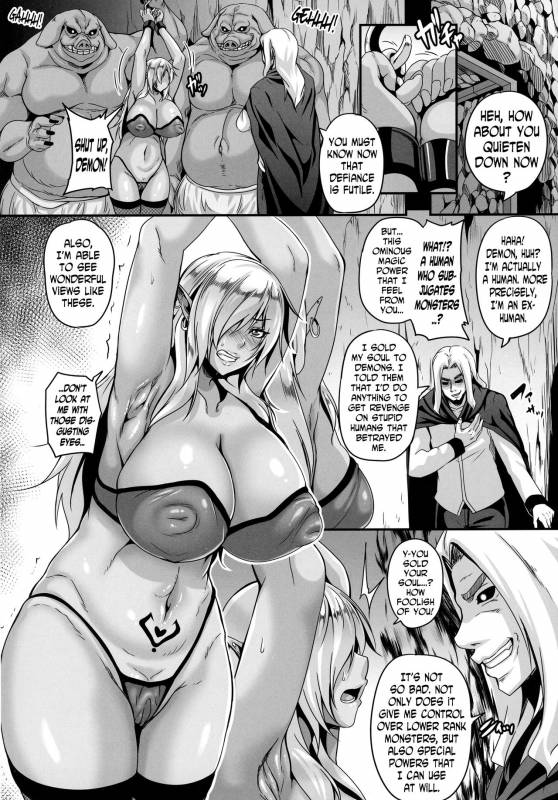(C91) [Tiramisu Tart (Kazuhiro)] Reishuu no Dark Elf [English] [N04h]_05