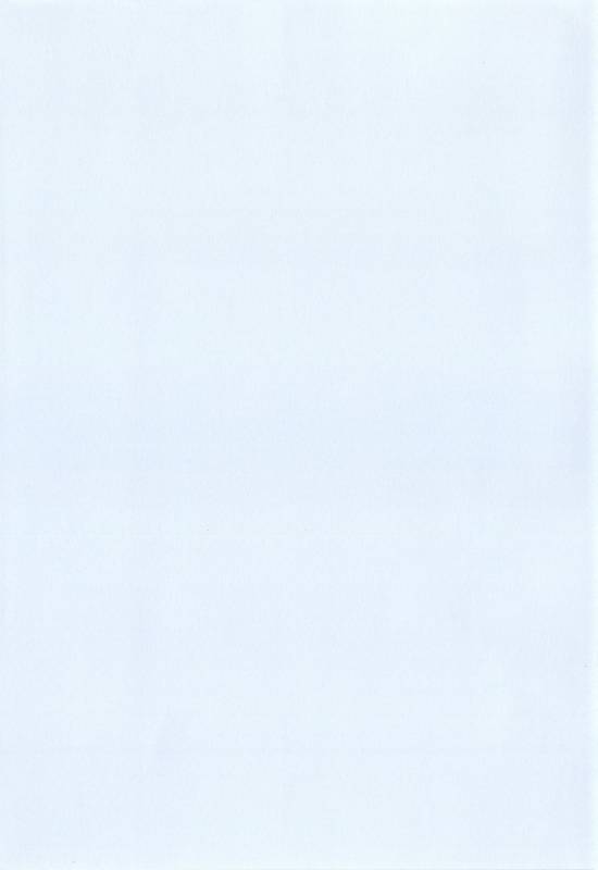 [Shindou] Ojou-sama to Maid no Midara na Seikatsu Ch. 1-4, 7-11 [Chinese] [无毒汉化组]_004