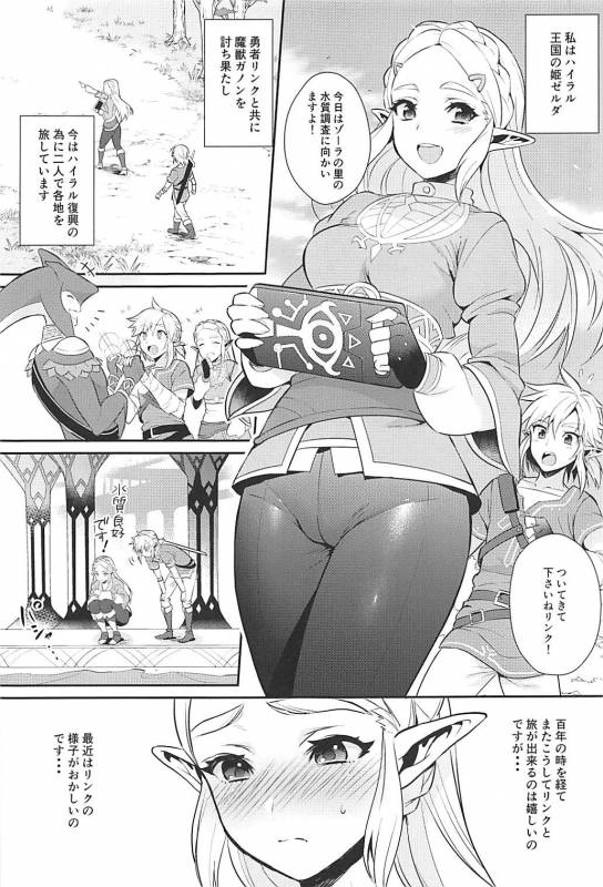 (C93) [Morittokoke (Morikoke)] Hyrule Hanei no Tame no Katsudou! (The Legend of Zelda)_03