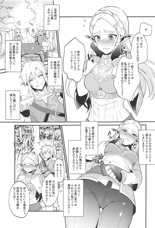 (C93) [Morittokoke (Morikoke)] Hyrule Hanei no Tame no Katsudou! (The Legend of Zelda)_05