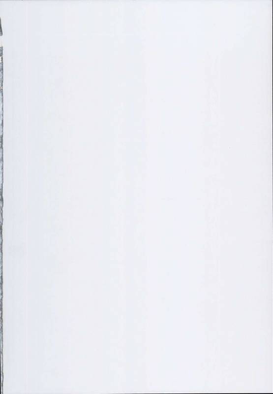 (C93) [Tori no Oishii Tokoro (Torisan)] Reima Shoukan _01