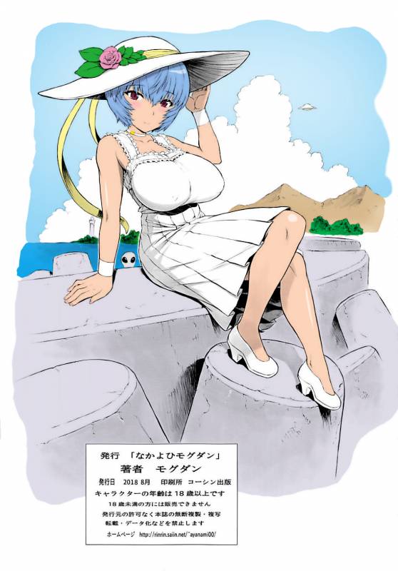 (C94) [Nakayohi Mogudan (Mogudan)] Ayanami Dai 9-kai Ayanami Nikki  Ayanami Chap_17