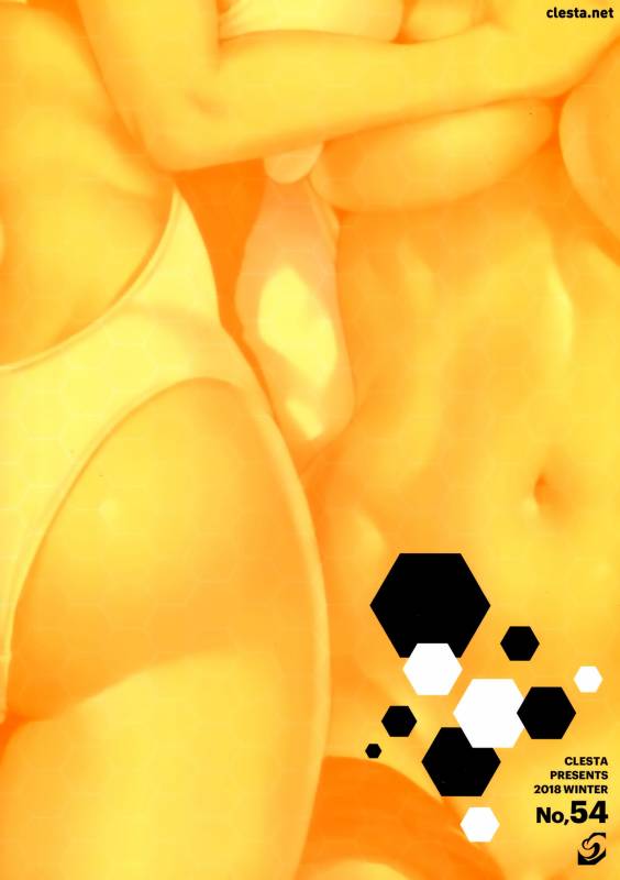 (C95) [Clesta (Cle Masahiro)] CL-orz 54 (FateGrand Order)_19