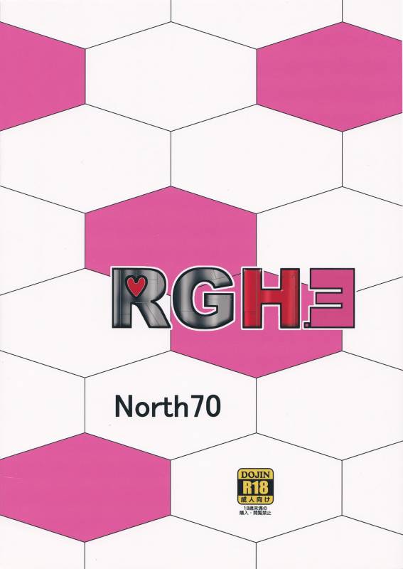 (CT26) [North70 (Nanao Yukiji)] RGH.3 (Robot Girls Z)_29