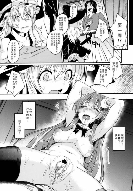 (Reitaisai 15) [Kuusou Monochrome (Abi)] Migawari no Patchouli (Touhou Project) [Chinese]_20
