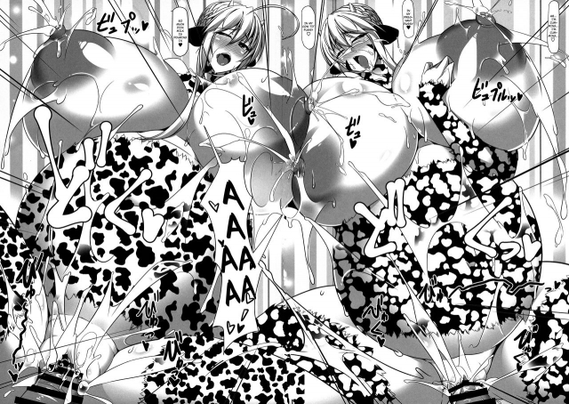 (COMIC1☆15) [IRON FIN (Tethubire)] Souou to Maguau (FateGrand Order) [English] [hardcase8translates]_26