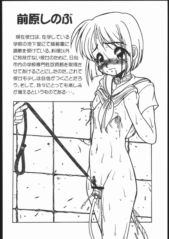 (C58) [Circle ENERGY (Imaki Hitotose)] LOVE PINYA (Love Hina)_18