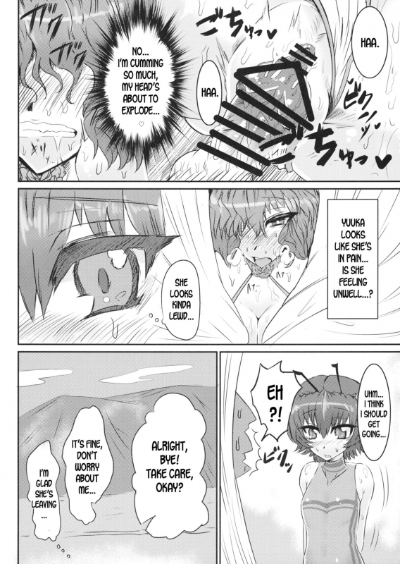 (C86) [GC-dan (Wakura)] PawaSwi (Touhou Project) [English] [desudesu]_12