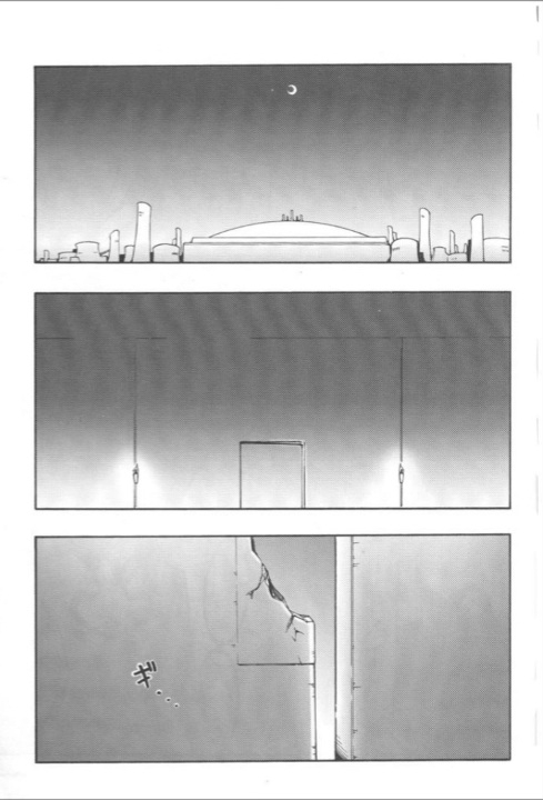 Non(nnoitra x nelliel)_25