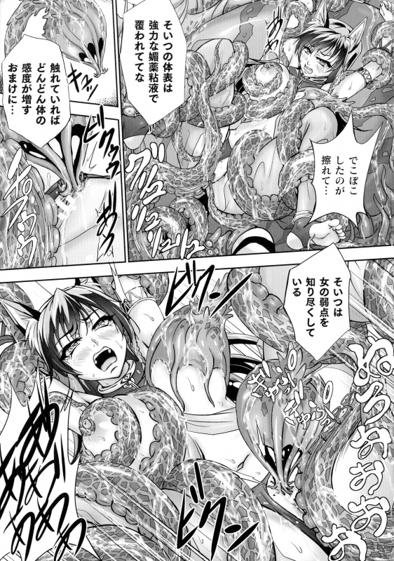 [Anthology] Kukkoro Heroines SP5_204