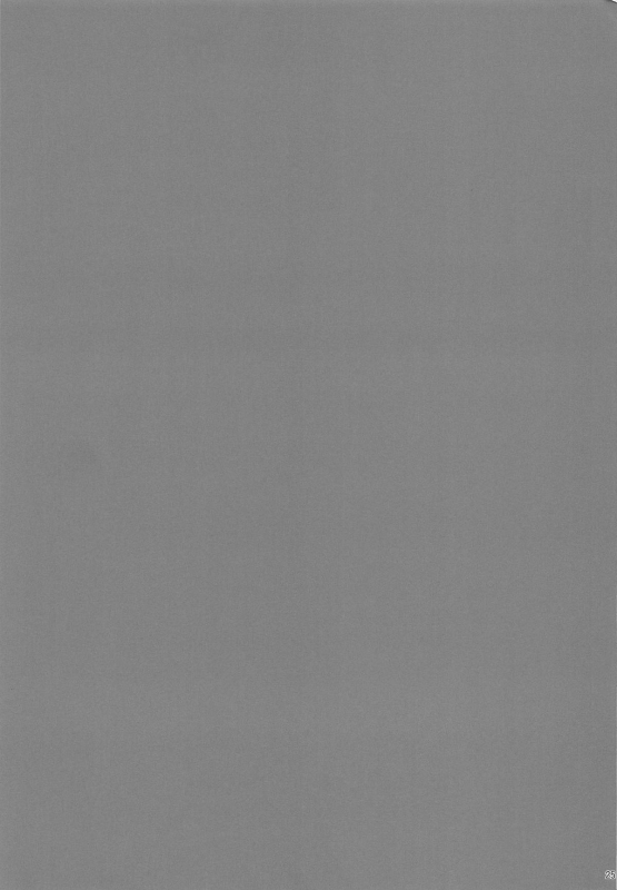 (COMIC1☆15) [Mugen@WORKS (Akiduki Akina)] Servant Service Order (FateGrand Order)[E_22