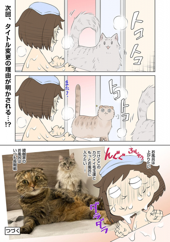 COMIC Ananga Ranga Vol. 72_279