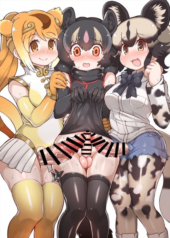 [Kemoshiko Doukoukai (Various)] Friends Mae Shippo Goudoushi (Kemono Friends) [Digital]_002