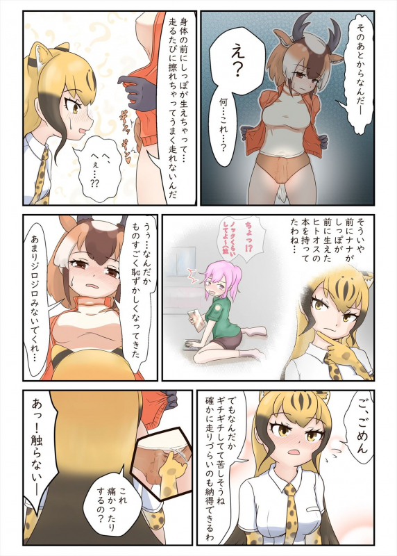[Kemoshiko Doukoukai (Various)] Friends Mae Shippo Goudoushi (Kemono Friends) [Digital]_008