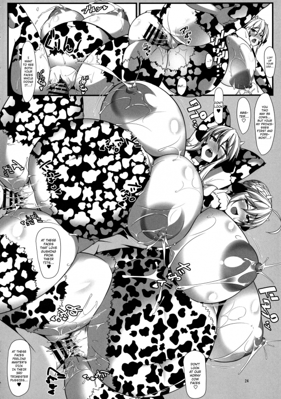 (COMIC1☆15) [IRON FIN (Tethubire)] Souou to Maguau (FateGrand Order) [English] [hardcase8translates]_22