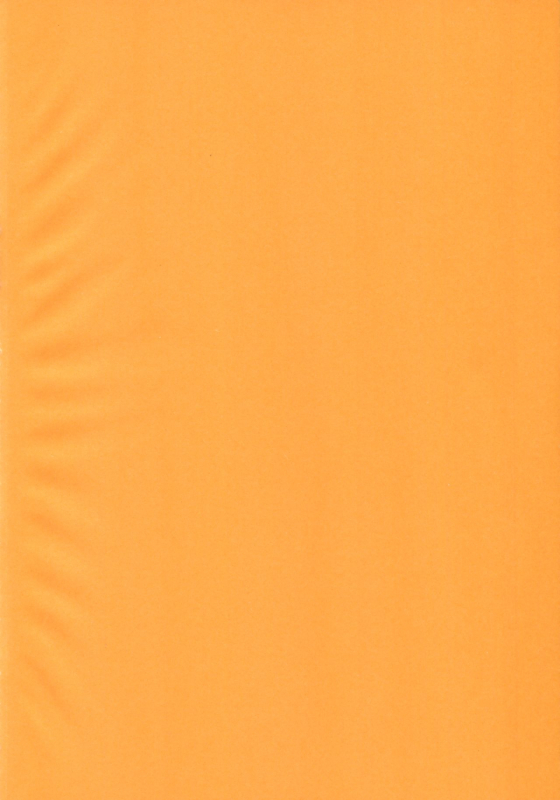 (C95) [Elie (Houman)] Megami ga Mizugi ni Kigaetara (FateGrand Order)_02