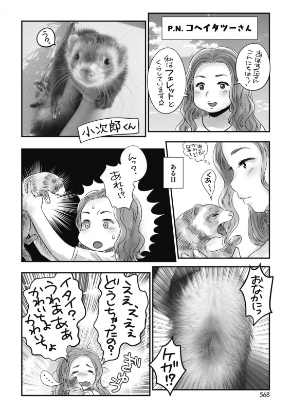 COMIC HOTMILK 2021-10 [Digital]_524