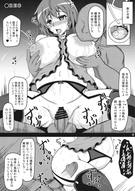 (C96) (同人誌) [禍葬現実] 孕殖龍魚 (東方) (エロ)_15