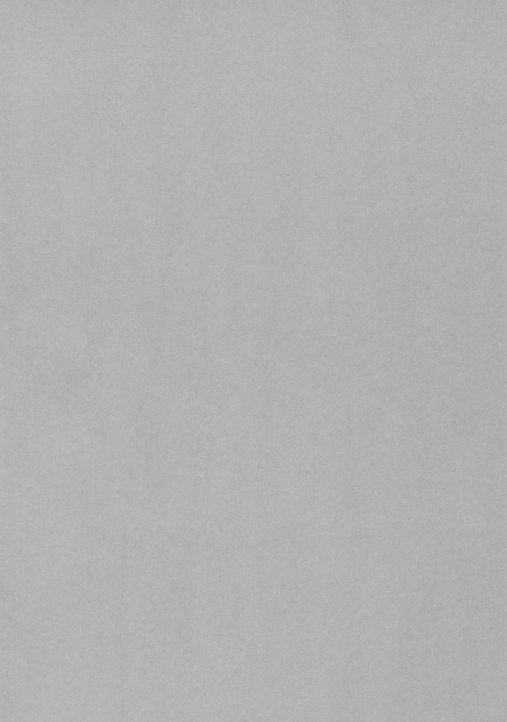 (C76) [GREAT Acta (tokyo)] chili acta (Arc the Lad) [Chinese] [牛肝菌汉化]_10