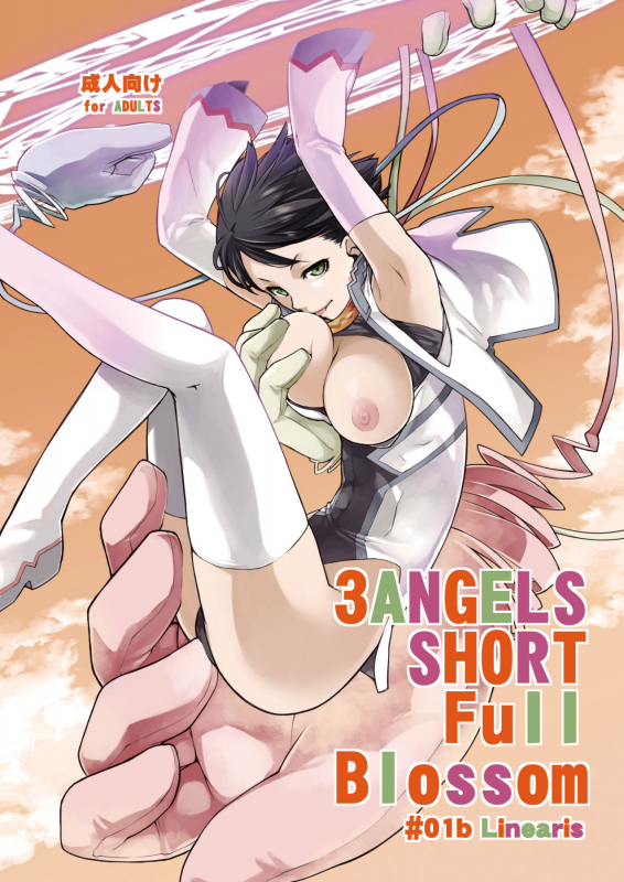 [Yokoshimanchi. (Ash Yokoshima)] Yokoshimanchi. Gorgeous Pack! (Various)_436