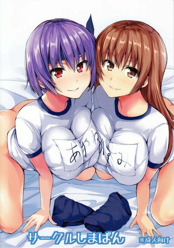 (C86) [Shimapan (Tachibana Omina)] Harem Mono Tsumeawase Harem Variety Pack (Dead or Alive) [English] _20