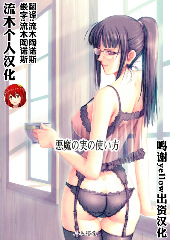 (C80) [Mikenekodou (Muten)] Akuma no Mi no Tsukaikata (One Piece) [Chinese] [流木个人汉化]_01