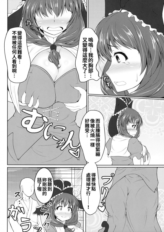 (Reitaisai 12) [Kasozama (HYDRANT)] Hina MILK (Touhou Project) [Chinese] [巨乳星人個人漢化]_02