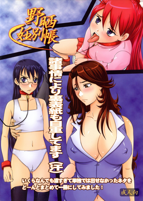 (C76) [Nozarashi (Nozarashi Satoru)] Nozarashi Ninbetsuchou (Various)_01