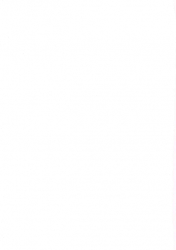 [Byakuya Kisoukyoku (Ayase Mio)] Hanayome inmu (Princess Connect! ReDive) [Chinese] [黎欧x苍蓝星汉化组]_22