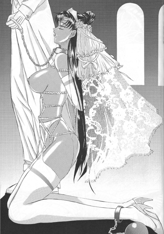 [DRESS (Hayabusa Shingo)] Premium (Various)_41