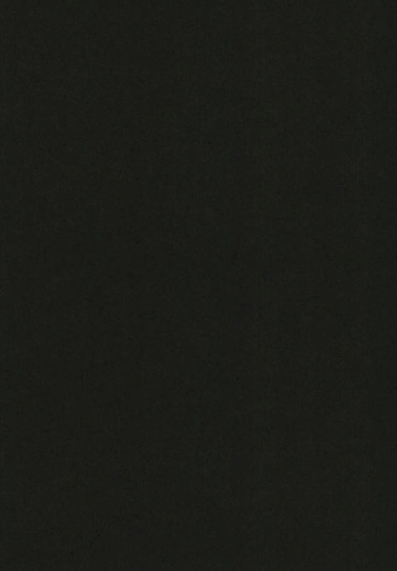 [BlossomSphere (Sakurayu Hal)] Eientei Shasei Gairai (Touhou Project) [Chinese] [吸住没碎个人汉化] [Digital]_04