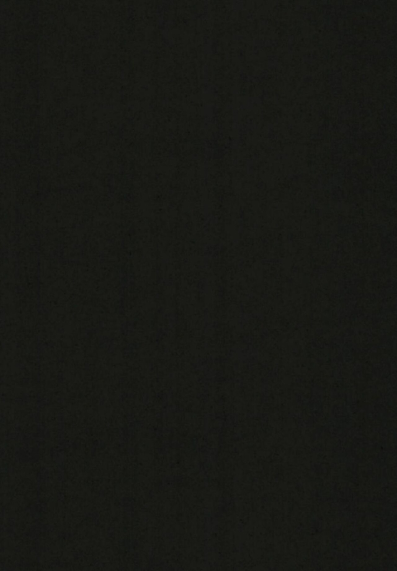 [BlossomSphere (Sakurayu Hal)] Eientei Shasei Gairai (Touhou Project) [Chinese] [吸住没碎个人汉化] [Digital]_29