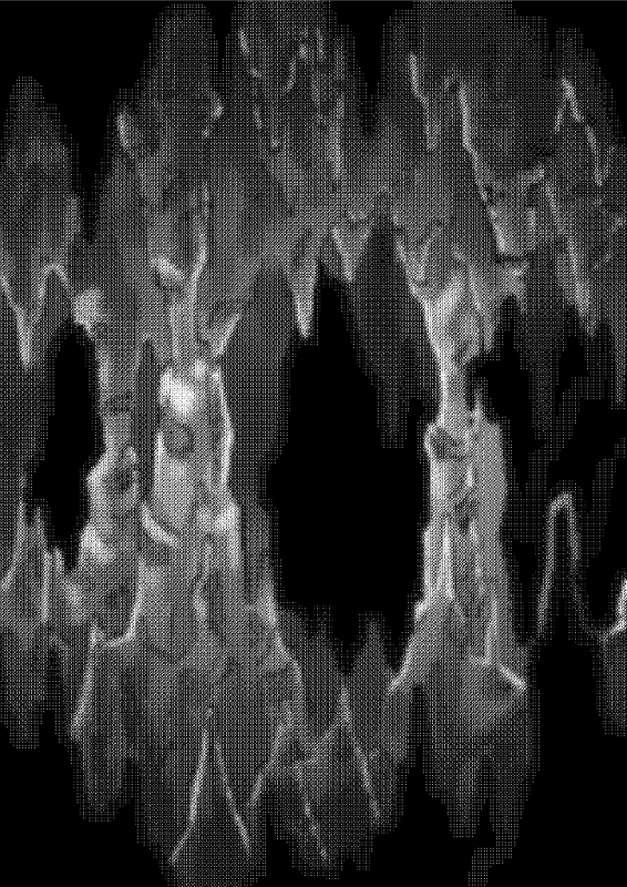 [Sunnyside] Oni no Shitennou ga Kawaisugite Hashihime wa Mou Gaman deki nai! 2 (Touhou Project)_13