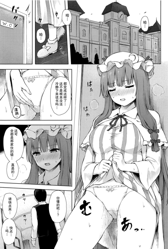 (Shuuki Reitaisai 8) [Tekomenchi (Techi)] Patchouli Knowledge Kaihatsu Kiroku II (Touhou Project) [Chine_01
