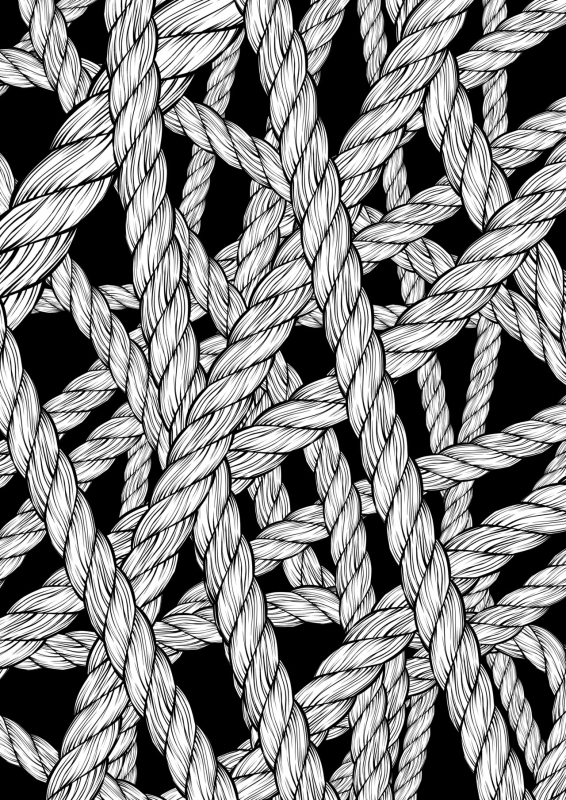 (C100 Various) 性癖合同vol.02 ~拘束合同~_03