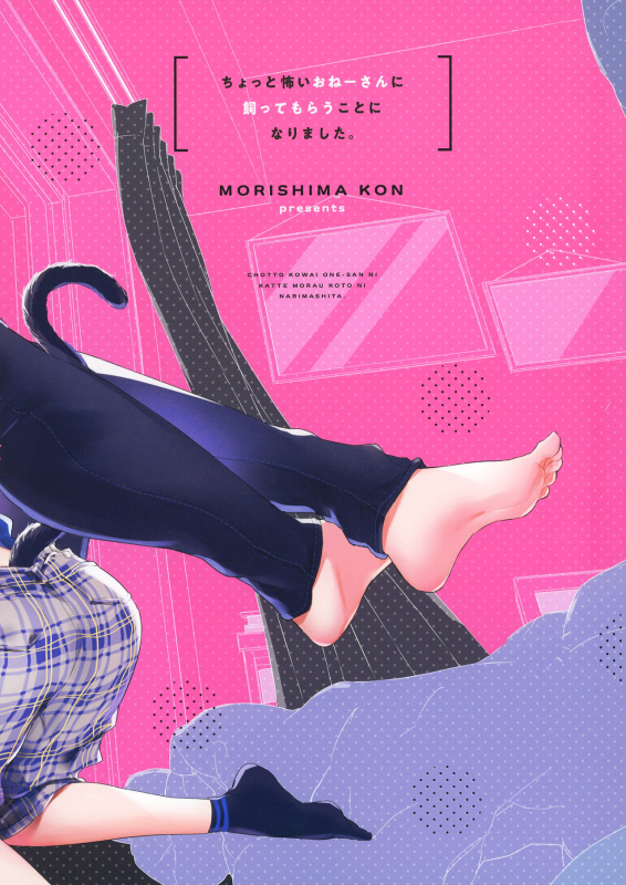 (C102) [Koniro Drops (Morishima Kon)] Chotto Kowai Onee-san ni Kattemorau Koto ni Narimashita [Textless]_41