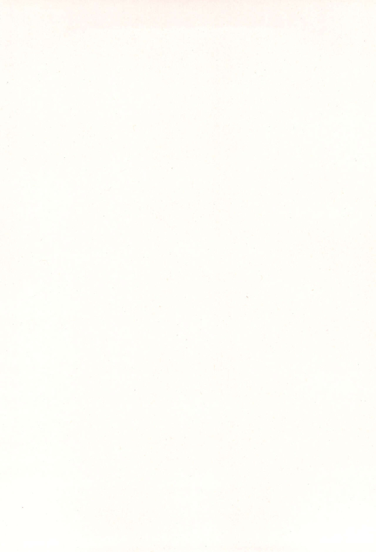 (C102) [Shiro no Ie (Yochiki)] Rio-chan wa Otosaretai. Rio Wants to Fall in Love. (Blue Archive) [English] [ConTL]_03