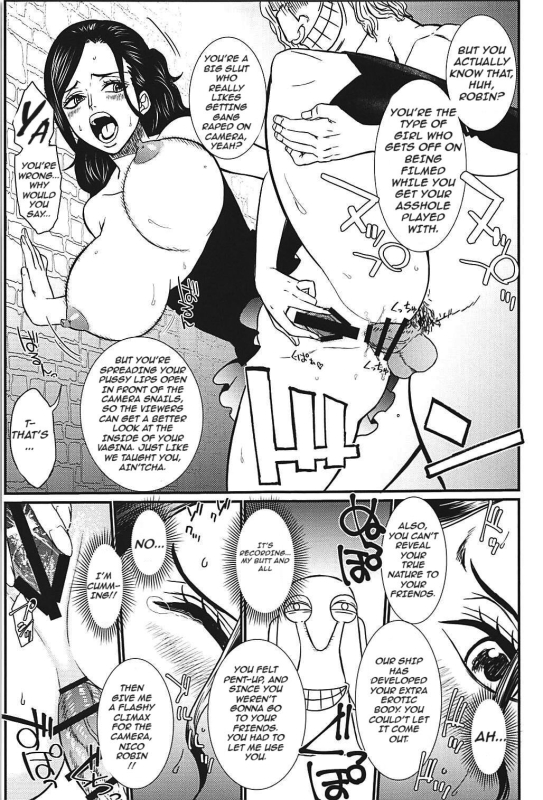 (C94) [RED FARMER (Aka Shirt Seisansha)] ROBIN'S HOLE (One Piece) [English]_16