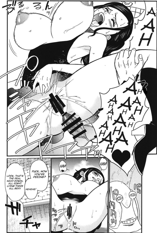 (C94) [RED FARMER (Aka Shirt Seisansha)] ROBIN'S HOLE (One Piece) [English]_17