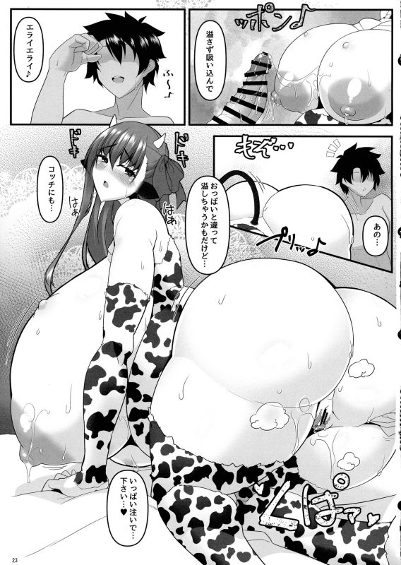 (COMIC1☆24) [IRON FIN (Tethubire)] Dotata PuLip (FateGrand Order)_22