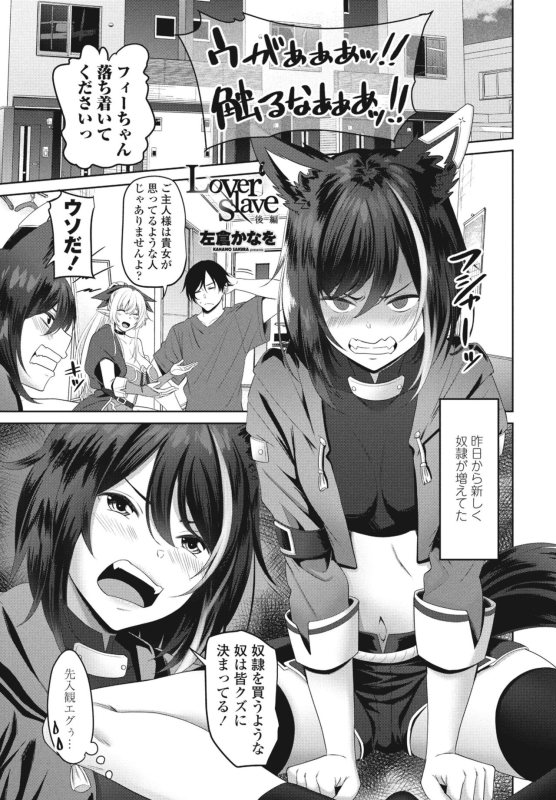 COMIC Penguin Club 2024-07 [Digital]_164