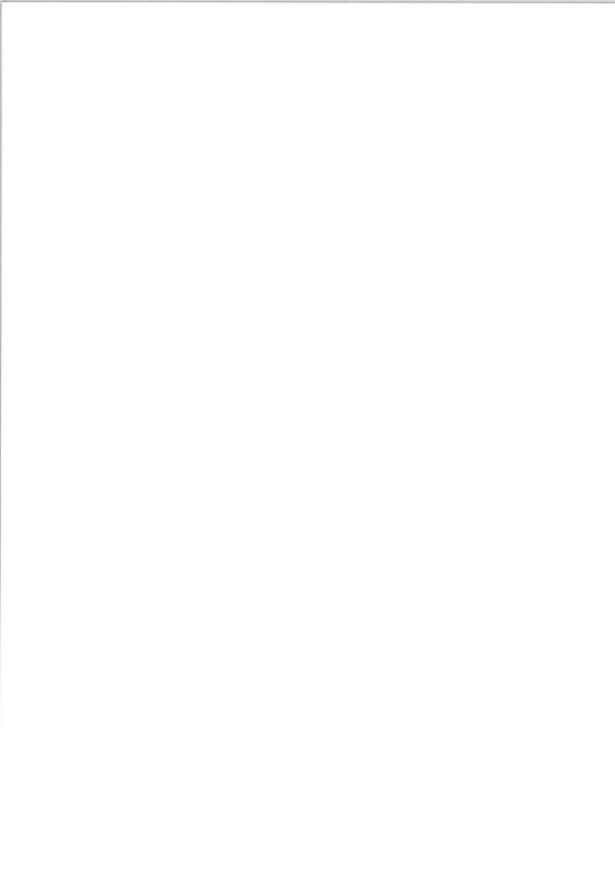 [Aroma Gaeru (Numahana)] Mousou Yuugi 3 (Touhou Project) [Digital]_18