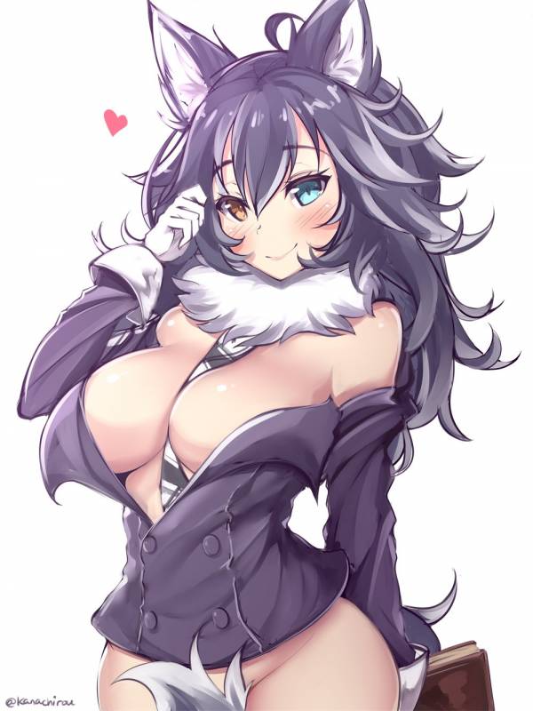 grey wolf (kemono friends)